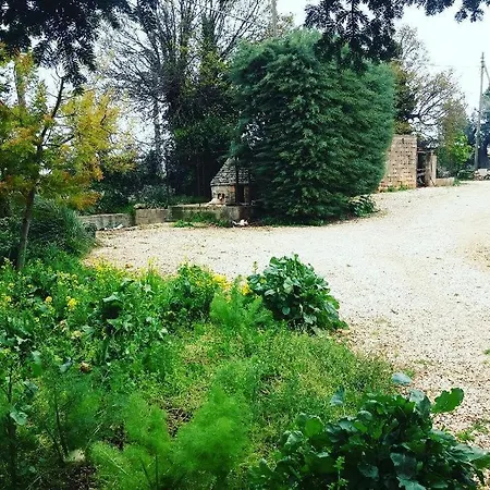 Dama Maria Hébergement de vacances Locorotondo